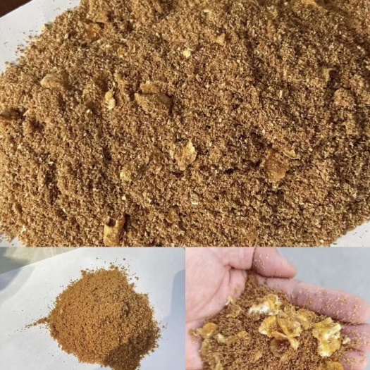 石家庄玉米压片发酵料，改善肠道，提升采食量