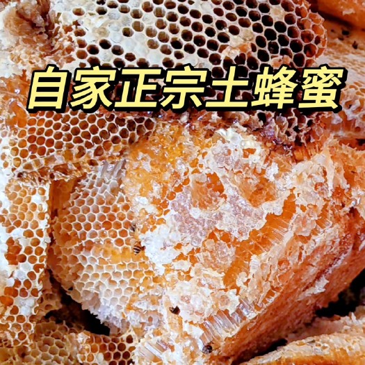 宜昌自家农家正宗土蜂蜜湖北土蜂蜜土蜂糖百花蜜