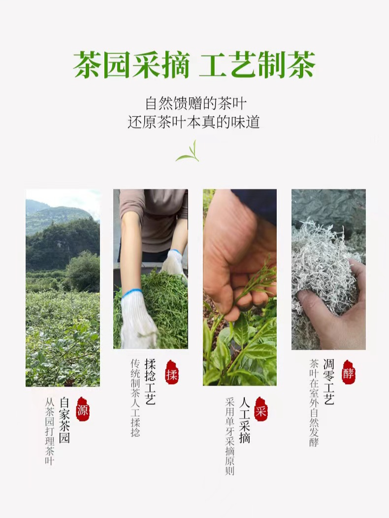 張家界永順高山紅砂巖龍須芽尖莓茶長壽茶[量大批發(fā)價格從優(yōu)]