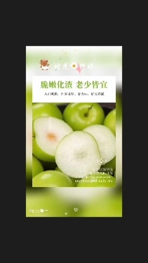 湛江雷州市牛奶，大叶青枣