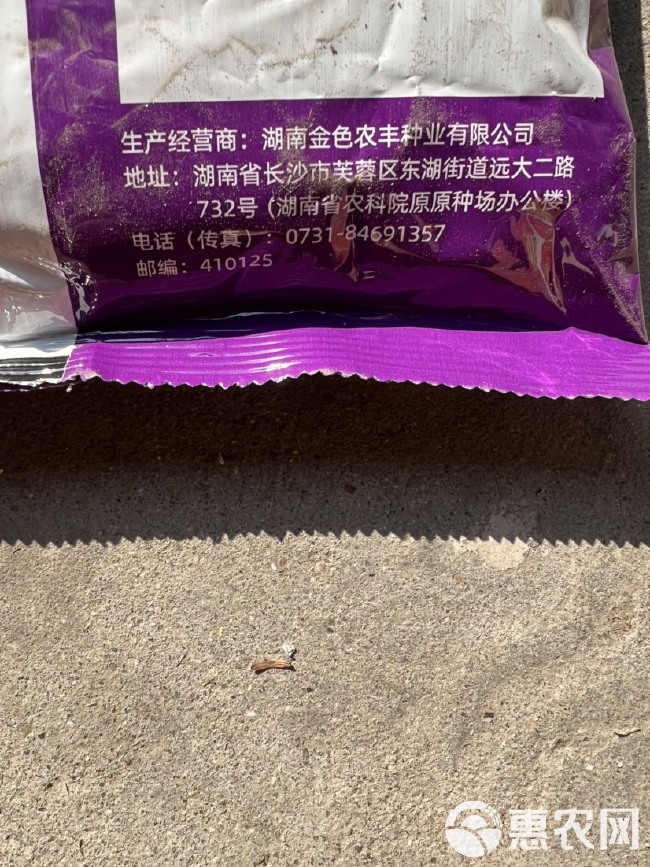 黄华占水稻种子 中稻虾稻谷种 常规种 饭好吃产量高优质水稻