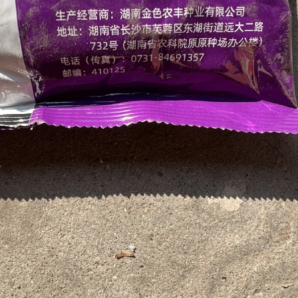 黄华占水稻种子 中稻虾稻谷种 常规种 饭好吃产量高优质水稻