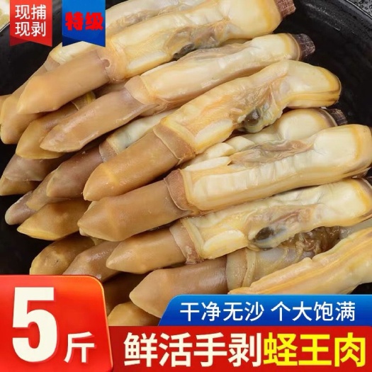 新鲜蛏王肉竹蛏肉蛏子肉现剥手指蛏肉鲜活冷冻大饱满无冰衣