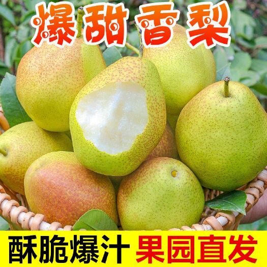 长沙【9斤】梨子新疆香梨甜脆酥梨薄皮新鲜水果库尔勒红香酥整箱批发