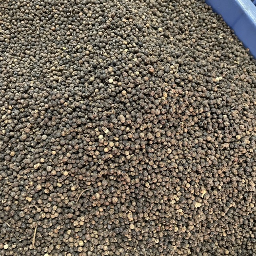 赣州黑胡椒