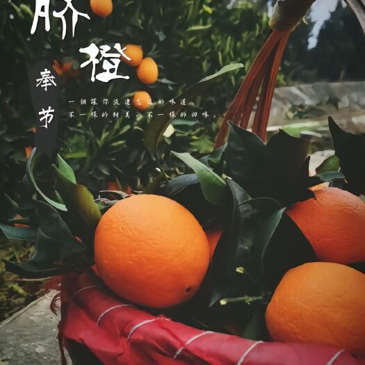 奉节85+（特大果）奉节脐橙10斤装