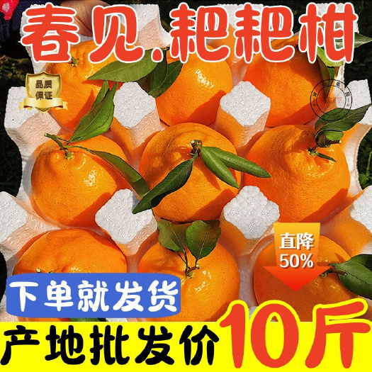 云南丑橘新鲜不知火丑橘桔子丑八怪当季整箱水果柑橘春见粑粑柑