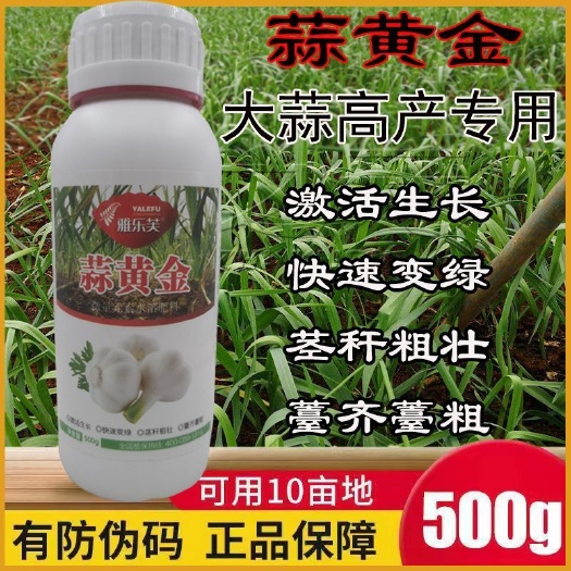 荥阳市大蒜专用叶面肥蒜头膨大蒜薹粗直快速变绿大蒜猛长蒜黄金