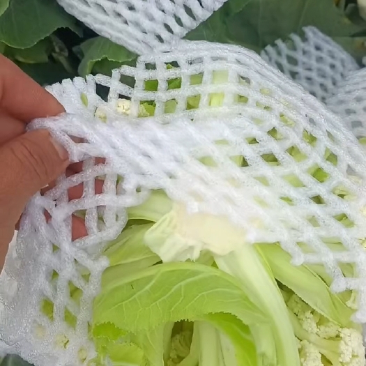 泸西县松花