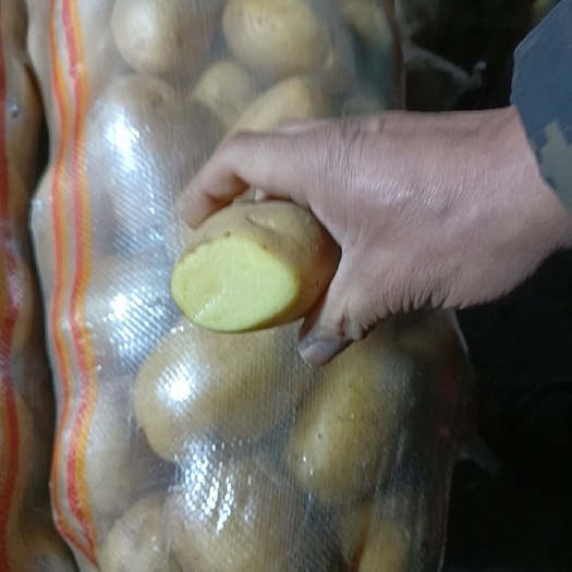 青岛土豆大量产地直销