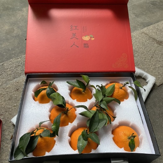 宁德爱媛28