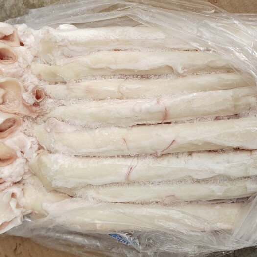 沈阳精选猪心管