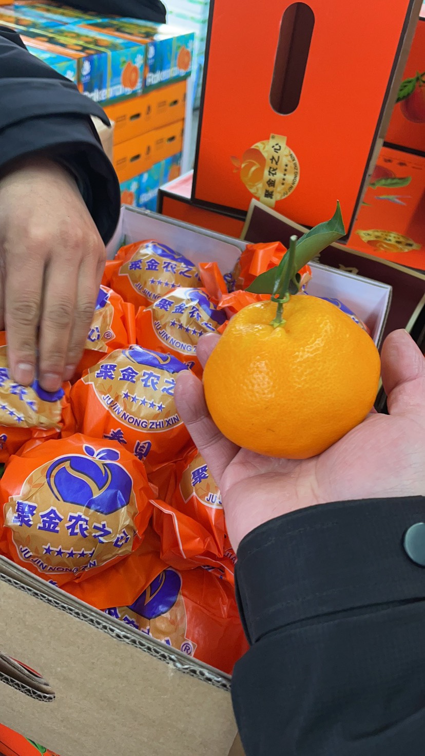 耙耙柑礼盒9斤装手提袋