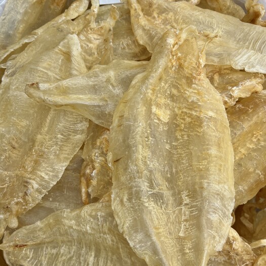 广州北海母片鳘鱼胶北海胶鱼胶干货批发