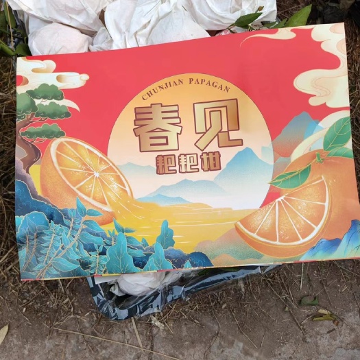 长沙耙耙柑丑橘
