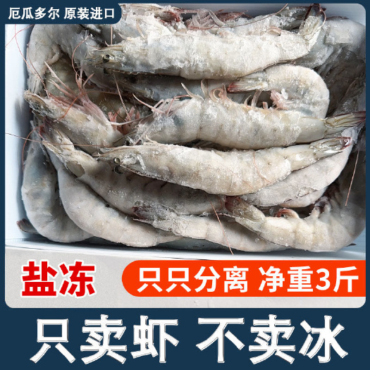 桑塔牌盐冻大虾尔瓜多尔冷冻南美白对虾一盒1.65kg商用批发