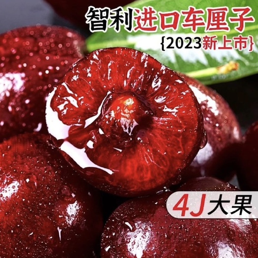 嘉兴【一件代发】智利车厘子5斤新鲜水果大樱桃整箱顺丰包邮