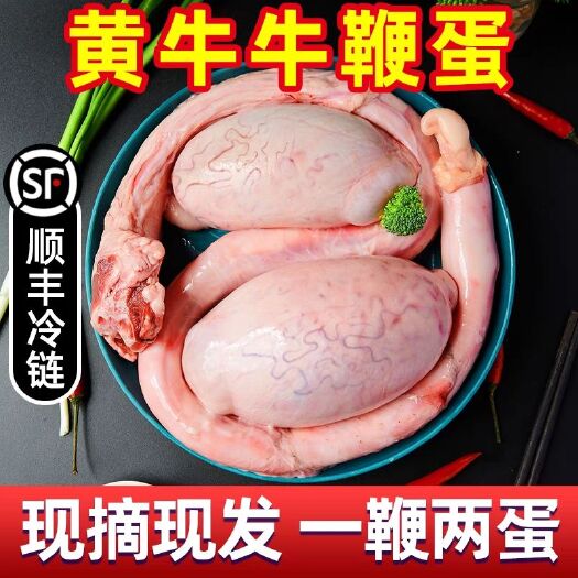 整根新鲜牛鞭现杀黄牛牛宝整套冰鲜牛蛋牛睾丸牛三件套牛鞭整根