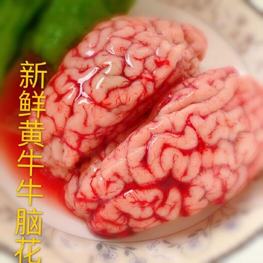 温岭市牛脑花新鲜黄牛脑花牛脑髓火锅冰鲜批发 整箱牛脑速冻发货