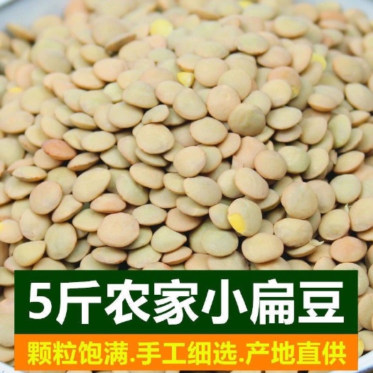 新小扁豆5斤 甘肃天水特产农家扁豆子红扁豆兵豆五谷杂粮