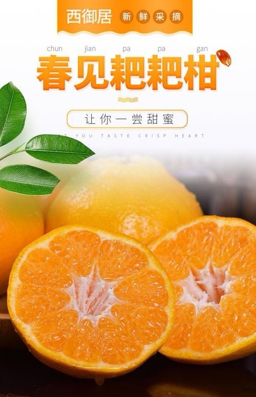 仁寿县四川眉山 耙耙柑 市场精品货 电商货 都有全国发货