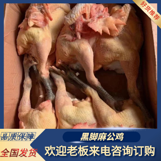 禹城市生鲜冷冻黑爪公鸡冷冻青脚大公鸡散养公鸡整箱4-9只装饭店食材