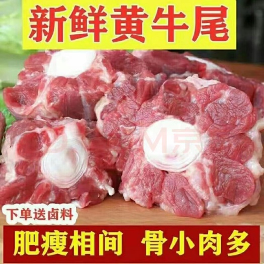 临沂牛尾巴牛尾新鲜现杀尾骨原切农家整根黄牛散养牛尾骨煲汤冷冻牛肉