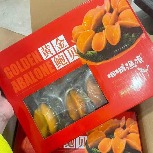 绥芬河市海鲜水产新鲜冷冻黄金鲍鱼礼盒装500g/盒内装8只