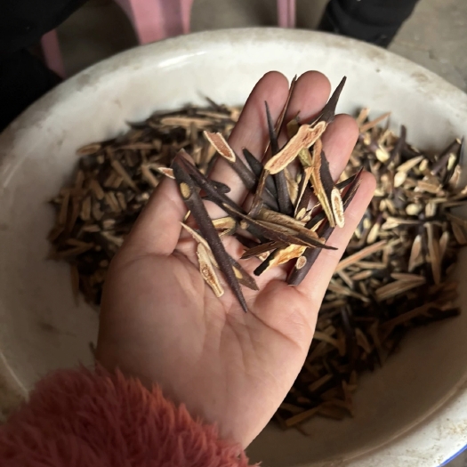 临沭县皂角刺 一斤！大皂角树切段 皂刺500克！实物拍摄