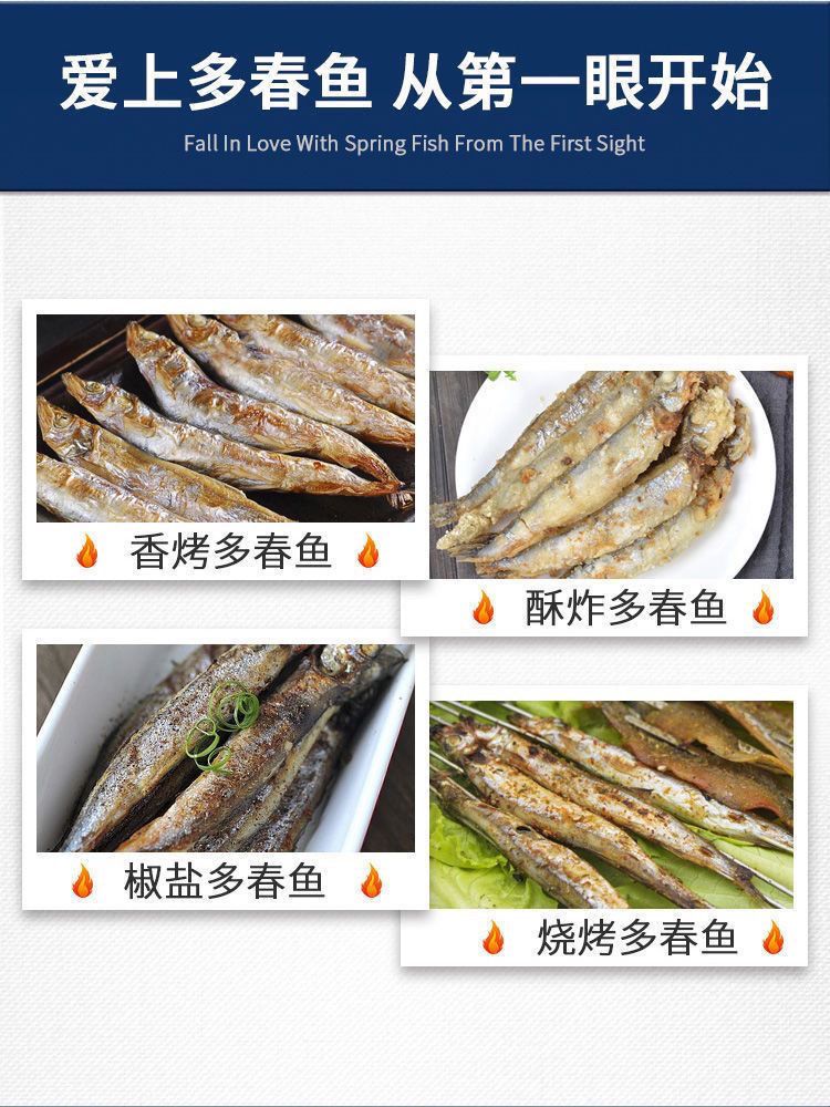 满籽多春鱼新鲜冷冻多籽鱼特大带籽多春鱼烧烤油炸商用冰鲜海水鱼