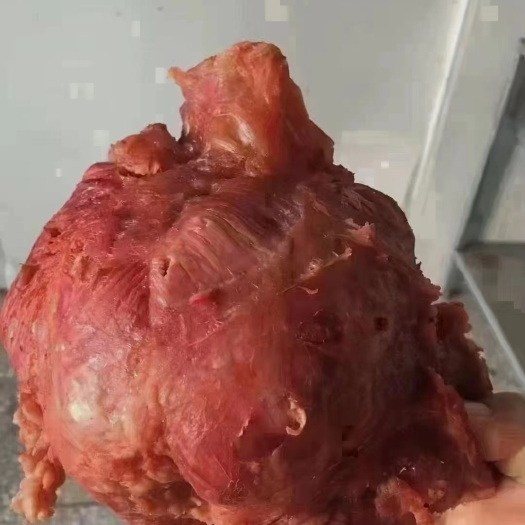 郑州猪大块肉