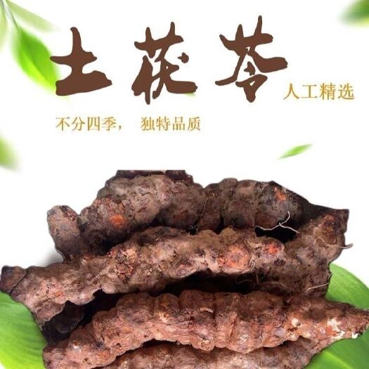 成都红土茯苓袪湿红肉土茯苓产地直销红肉土茯苓天然日常汤料