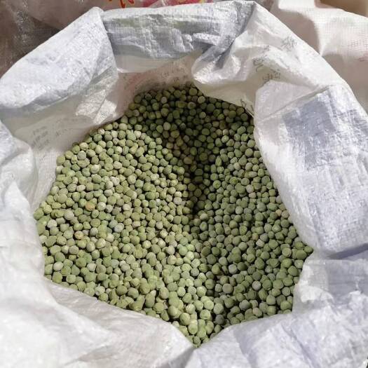 小金青豌豆干豌豆