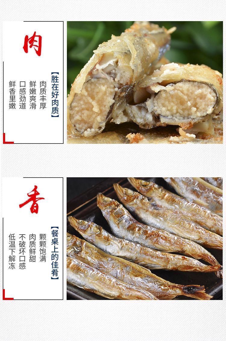 满籽多春鱼新鲜冷冻多籽鱼特大带籽多春鱼烧烤油炸商用冰鲜海水鱼