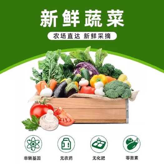 寿光市寿光原产地蔬菜礼盒，套菜，单位福利，社区团购，过节送礼