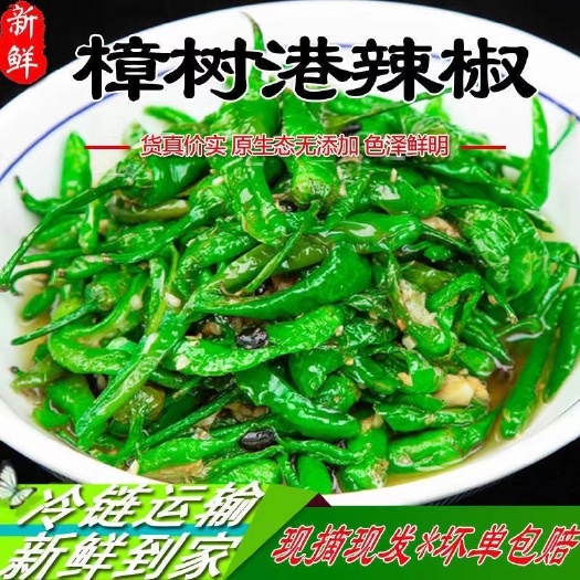 玉林湖南正宗樟树小辣椒新鲜富晒嫩青椒本地辣椒现摘农户自种薄皮微辣