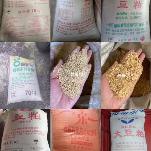 正定县批发各油厂豆粕 蛋白43 膨化粕、大片粕