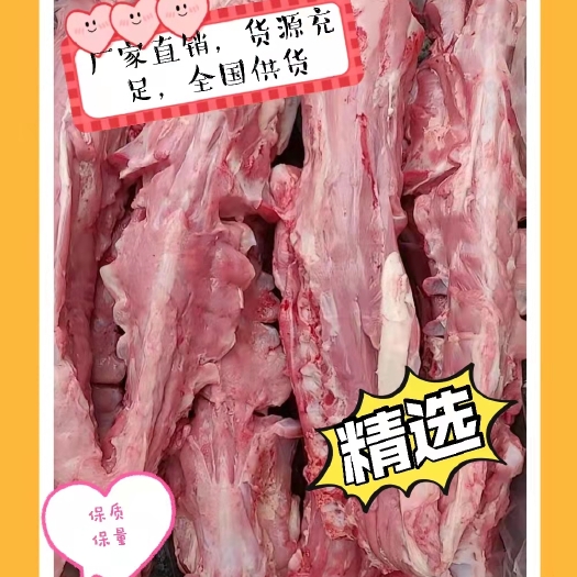 阳信县羊蝎子  厂家直销精品加肉羊脊骨。