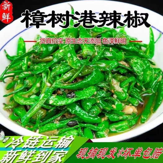 玉林湖南正宗樟树小辣椒新鲜富晒嫩青椒本地辣椒现摘农户自种薄皮微辣