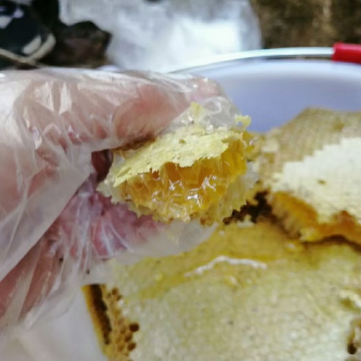 汕头中华蜂蜜