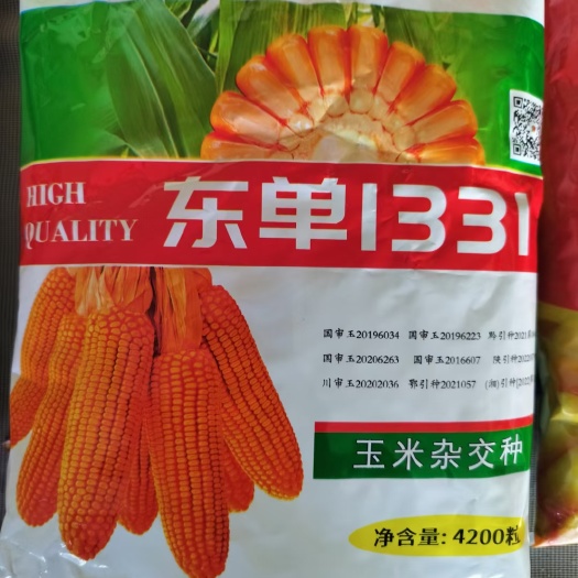 故城县东单1331玉米种子