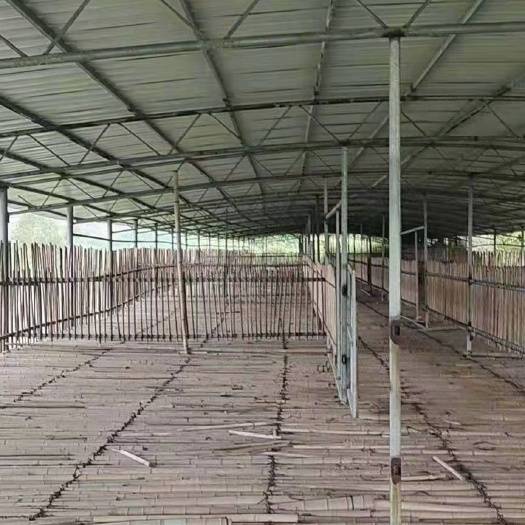 罗城县大型养殖场出租合作