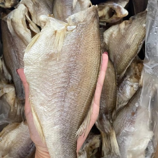 广州小鱼干 鲈鱼深海鲈鱼干鱼干干货干鱼海产品水产干货特大号鲈鱼
