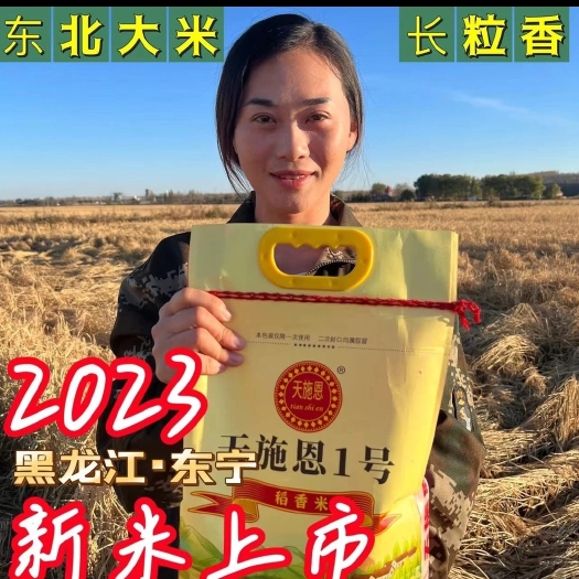 东宁市长粒香东北大米黑龙江东宁长粒香大米10斤一袋
