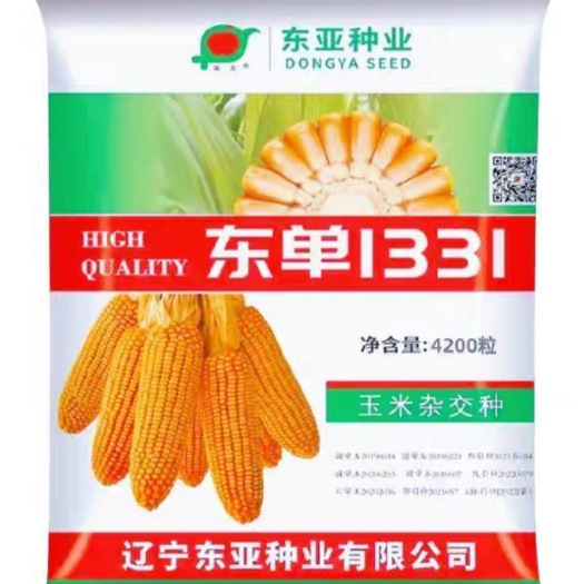 菏泽东单1331国审玉米种