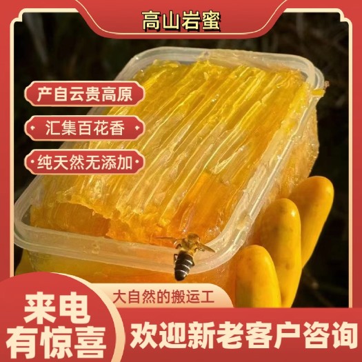 玉龙县野生崖蜜（崖蜜是体型最大的产蜜蜂种--崖蜂产的蜜，也叫崖蜂蜜