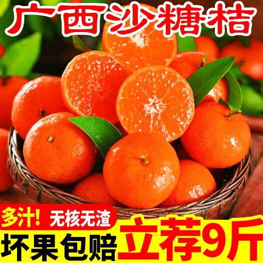 广西金秋沙糖桔砂糖橘薄皮新鲜应当季水果砂糖桔