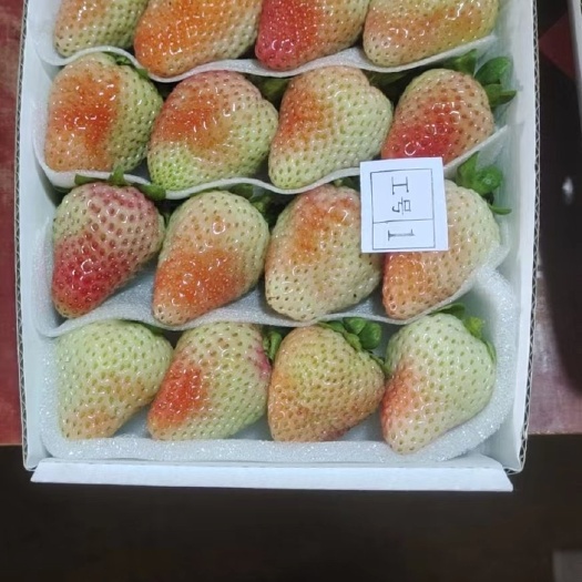 会泽县云南四季草莓