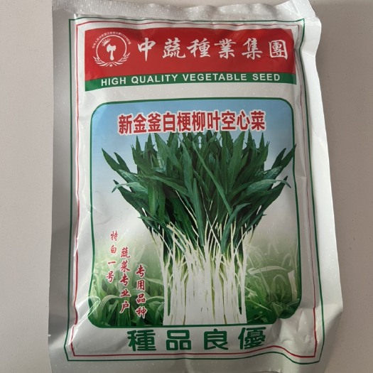 华容县白梗柳叶空心菜种子福建中蔬金斧白梗空心菜籽白骨空心菜蔬菜种子