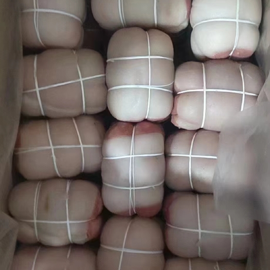 郑州捆肘